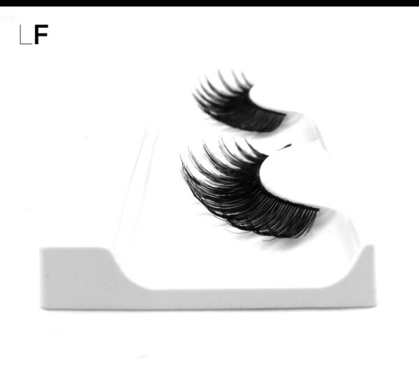 BM-R 1668 (HH) - Image 2